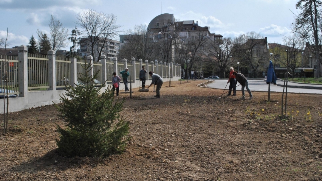 Озелениха новия паркинг в центъра на Русе