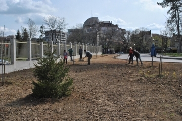 Озелениха новия паркинг в центъра на Русе