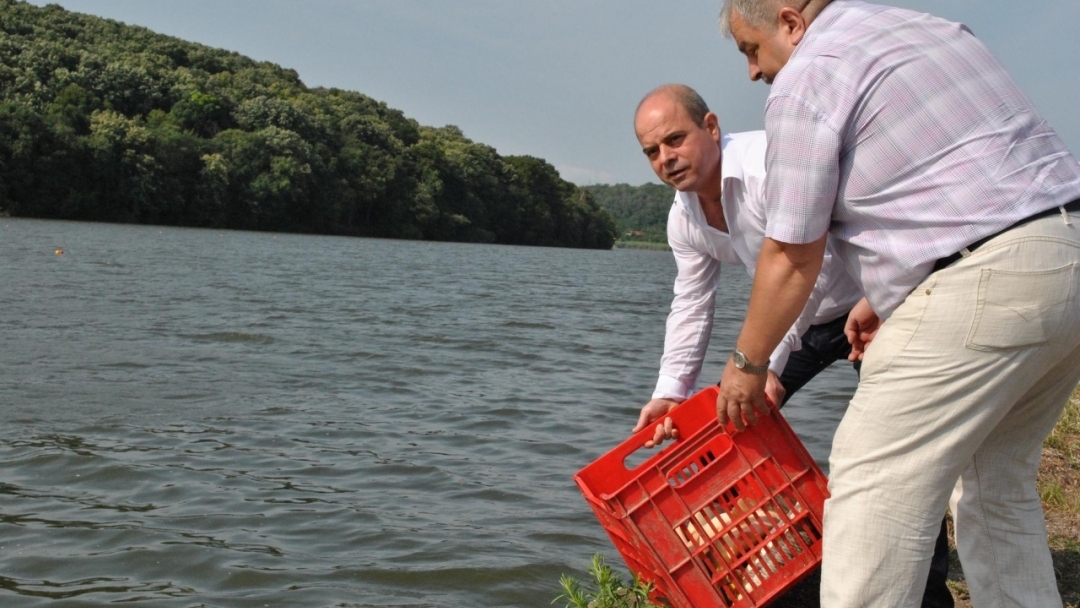 С 1 200 шарана зарибиха езерото „Липник“ край Русе