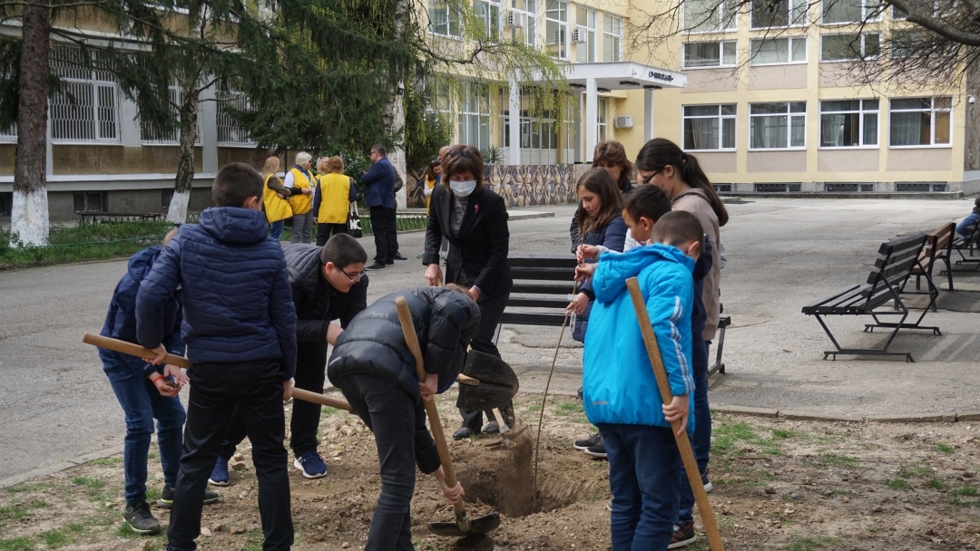Още 48 дръвчета са засадени днес в русенски училища