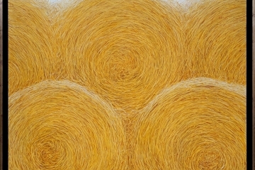 Музиката среща българското изобразително изкуство по непознат начин в Русе