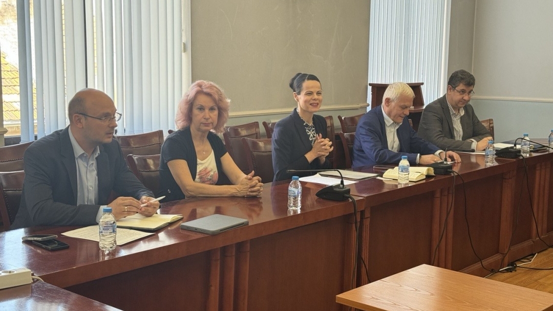 Кметът на Русе и представители на дунавските общини настояха пред здравния министър за устойчиви мерки срещу комарните популации