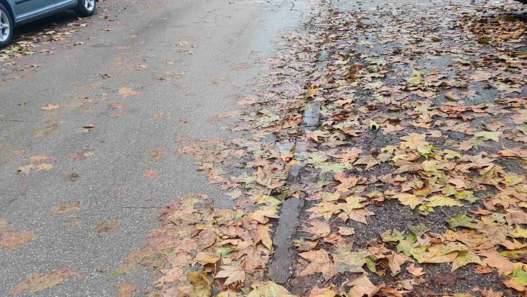 Машинно метене затруднява за ден паркирането по ул. „Студентска“