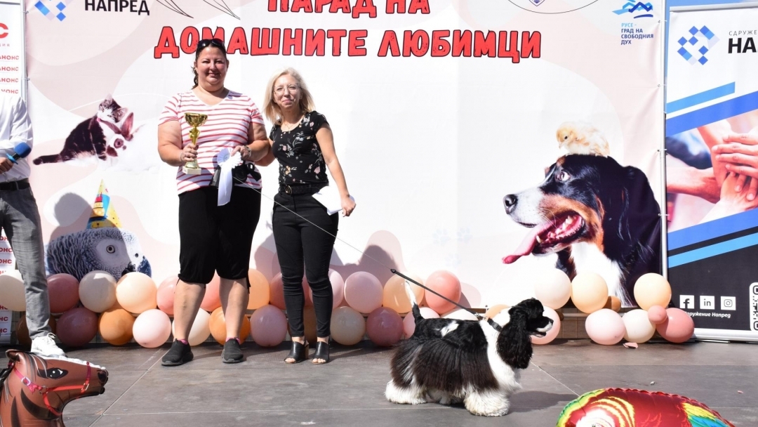 Над 70 животни дефилириха по червения килим на Парада на домашните любимци в Русе