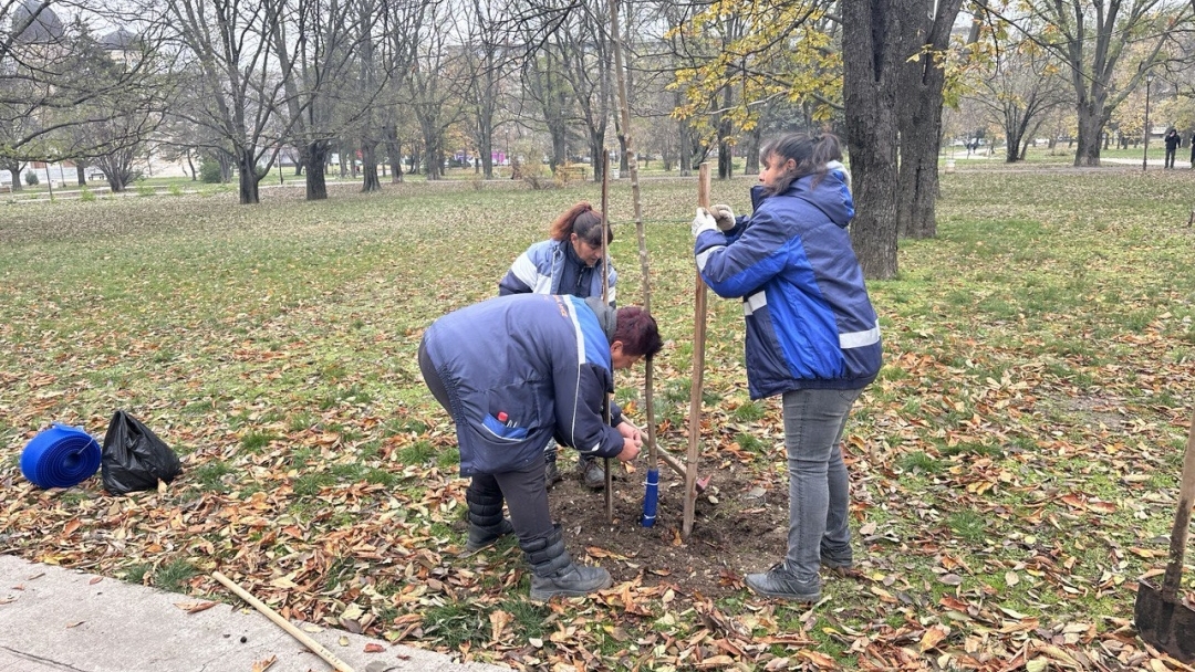 Нови 20 дръвчета бяха засадени в Парка на възрожденците