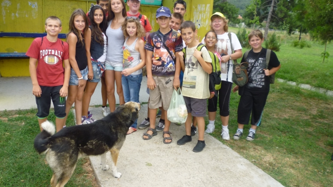 Лято в библиотеката