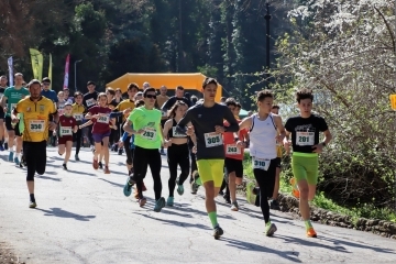 Over 300 runners started in the seventh Danube marathon "Prista RUN 2024"