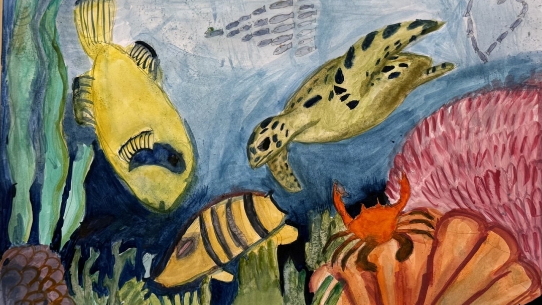 Таланти от България и Европа бяха отличени в конкурса „Водата и хората“ в Русе