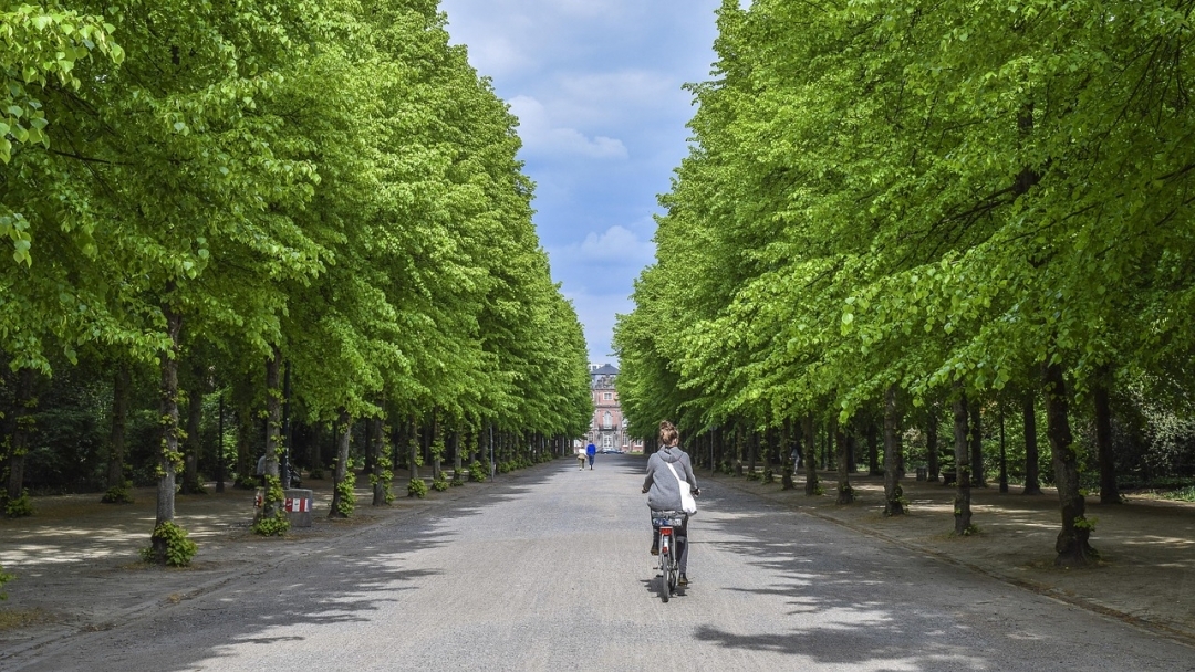 Нов фотоконкурс насърчава погледа към зелените зони на Русе и Гюргево