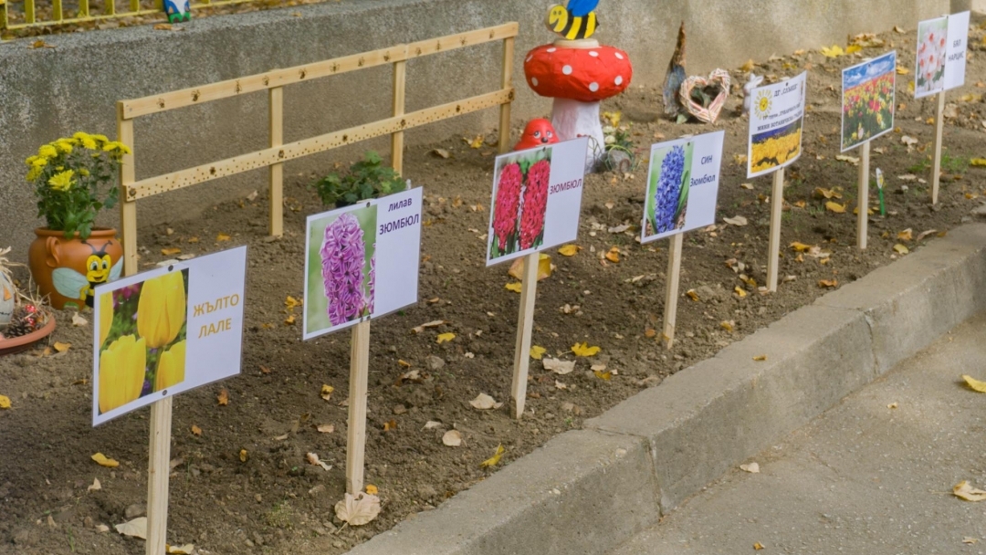 Детска градина “Слънце“ е с нови пространства за игра и ботаническа градина