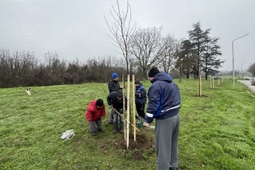 Кметът Пенчо Милков се включи в засаждането на 70 чинара по бул. „България“