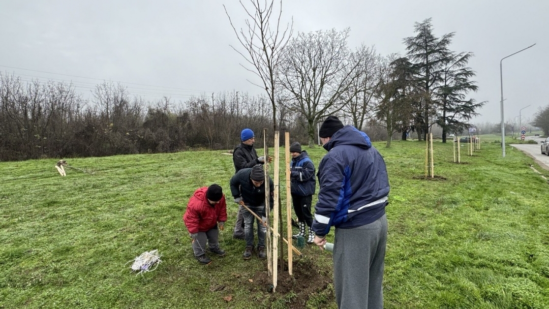 Кметът Пенчо Милков се включи в засаждането на 70 чинара по бул. „България“