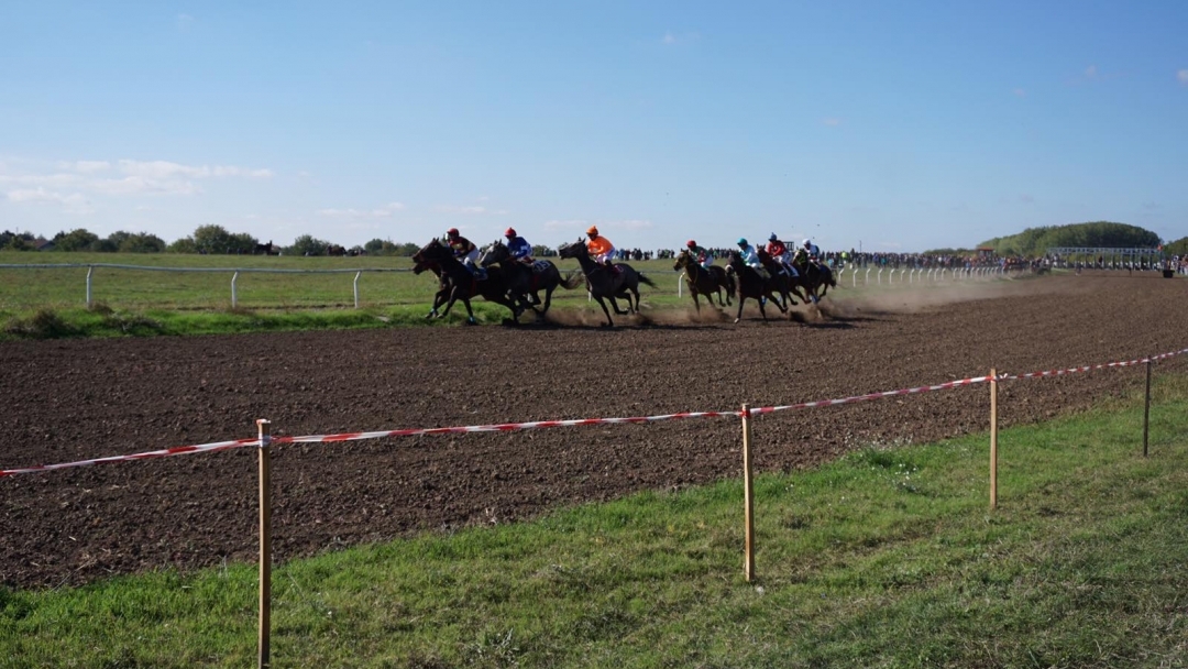 Близо 60 от най-елитните коне в България премериха сили на хиподрумната писта в с. Сандрово