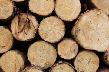 Дървесината за битово отопление следва да е суха и необработена с цел ограничаване на вредните емисии