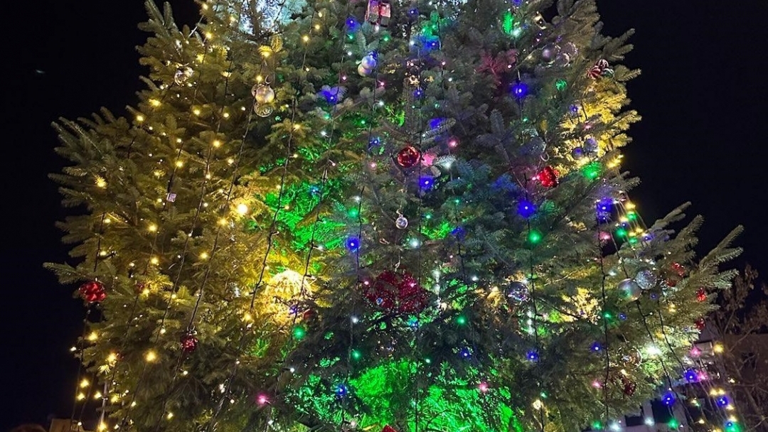 Коледната елха грейна в центъра на Русе