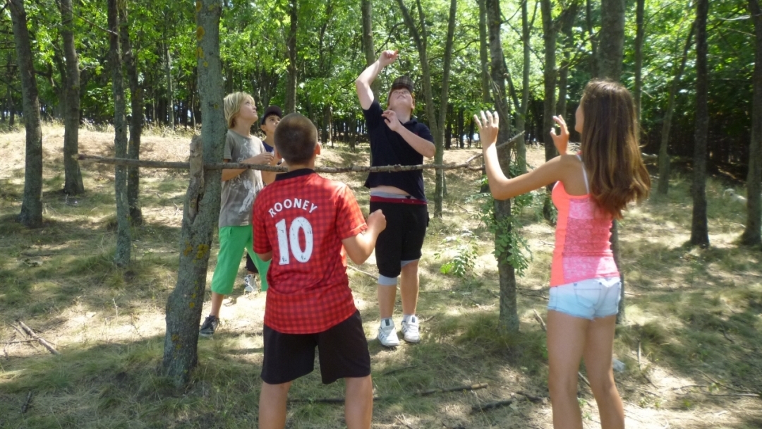 Лято в библиотеката