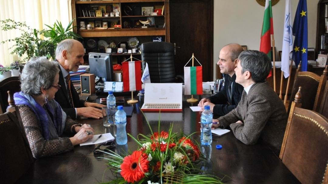 Австрия с интерес към русенските пристанища