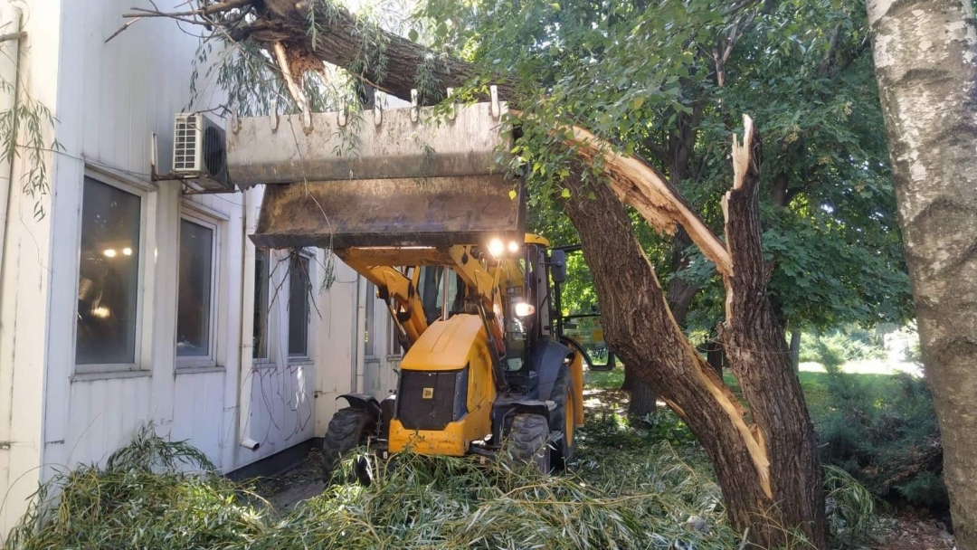 Общинско предприятие „Паркстрой“ с акция за разчистването на паднали клони и дървета след вчерашния силен вятър
