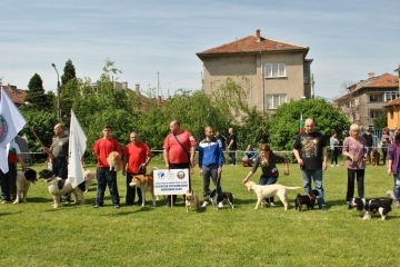Кметът на Община Русе Пламен Стоилов откри Международната киноложка изложба „За купата на кмета на град Русе“