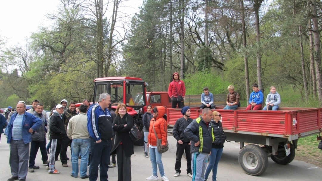 Русенци се пребориха мечките Бойка и Станди да не бъдат иззети