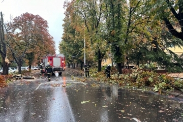 Екипи на общинските предприятия и Пожарната служба работят по сигнали за паднали дървета и аварии