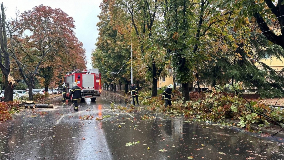 Екипи на общинските предприятия и Пожарната служба работят по сигнали за паднали дървета и аварии