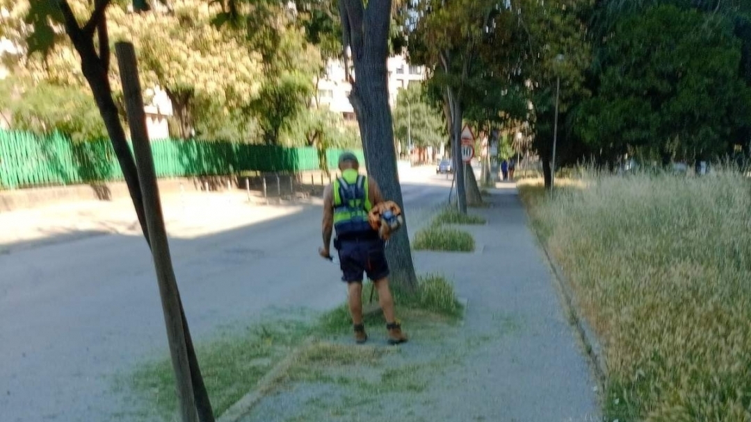 Продължава косенето на тревни площи в Русе