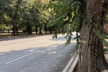 Продължава благоустрояването на бул. „Съединение“