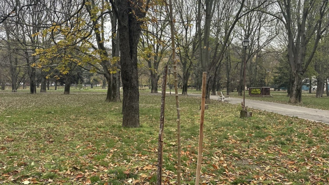 Нови 20 дръвчета бяха засадени в Парка на възрожденците