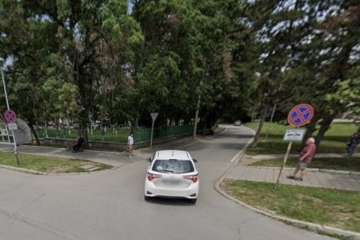 Резитба на опасно дърво затваря временно алея „Лилия“