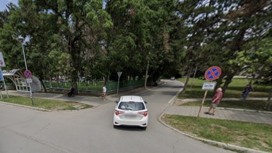 Резитба на опасно дърво затваря временно алея „Лилия“