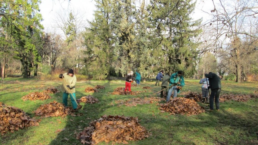 До броени дни стартира подновяване на растителността в паркове и градинки