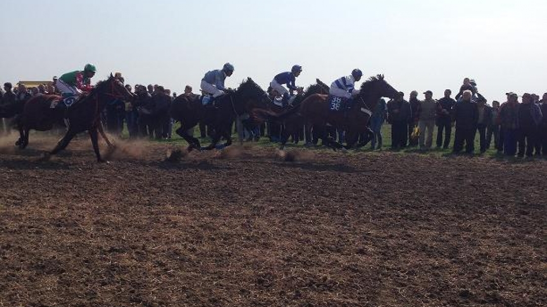 Близо 70 коня мериха сили в надпревара в село Сандрово