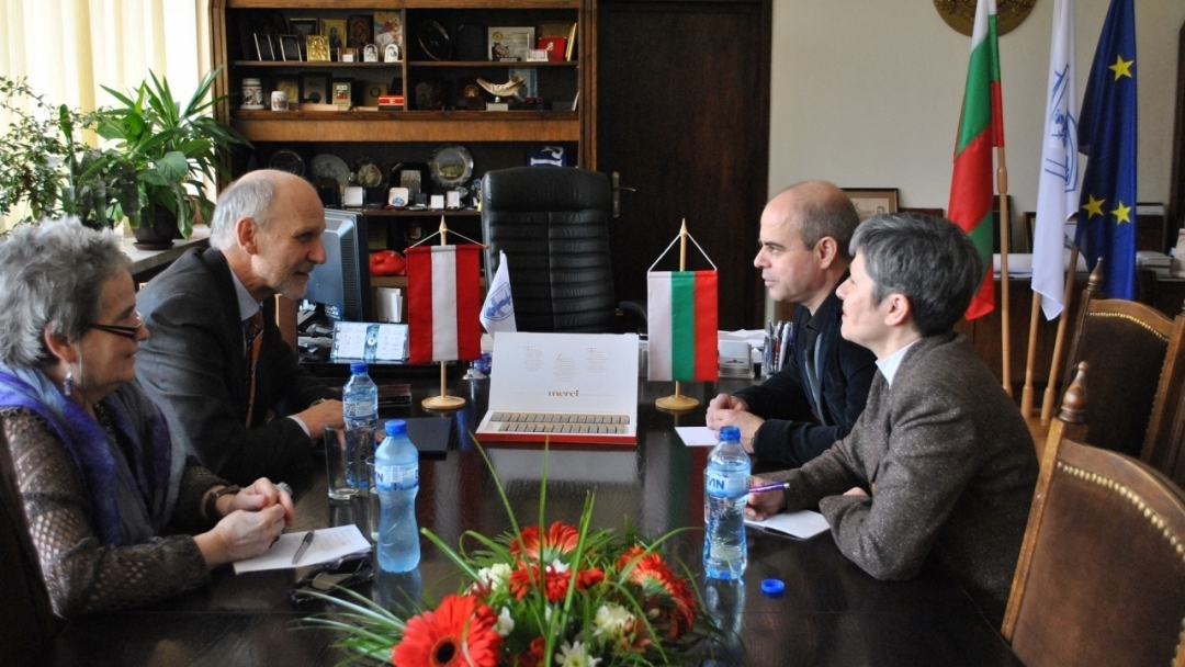 Австрия с интерес към русенските пристанища