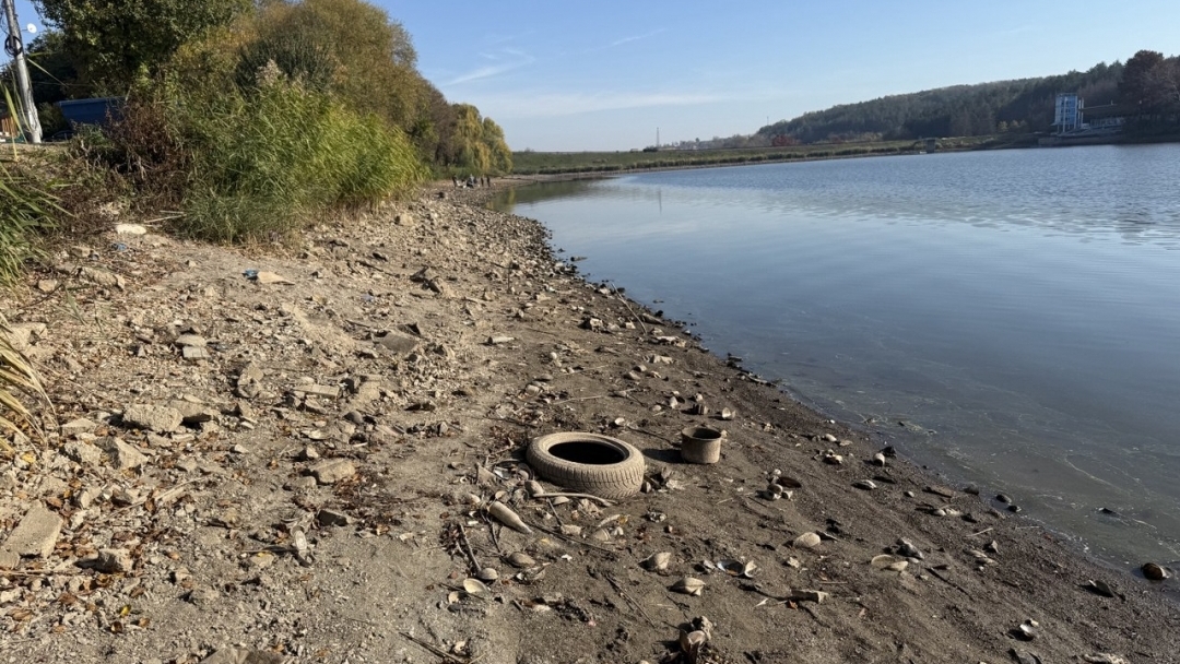 Десетки русенци се включиха в доброволческата акция за почистване на язовира в Николово