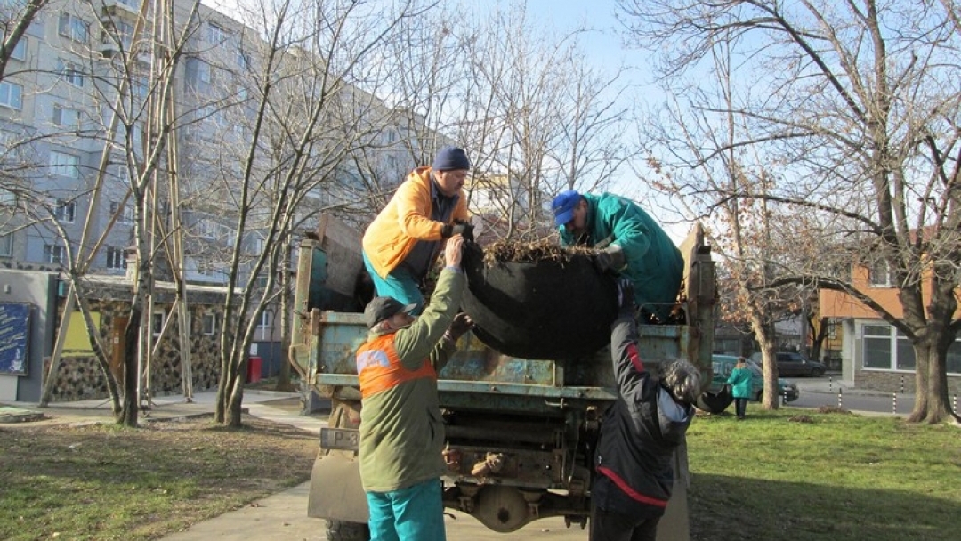 До броени дни стартира подновяване на растителността в паркове и градинки
