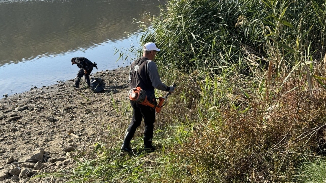 Десетки русенци се включиха в доброволческата акция за почистване на язовира в Николово
