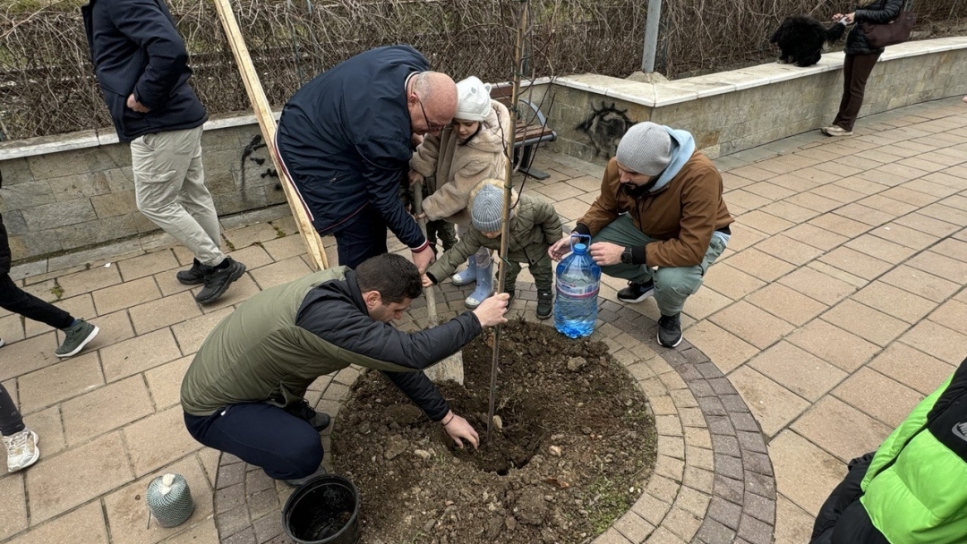 Инициатива за засаждане на дръвчета събра деца и родители на кея в Русе
