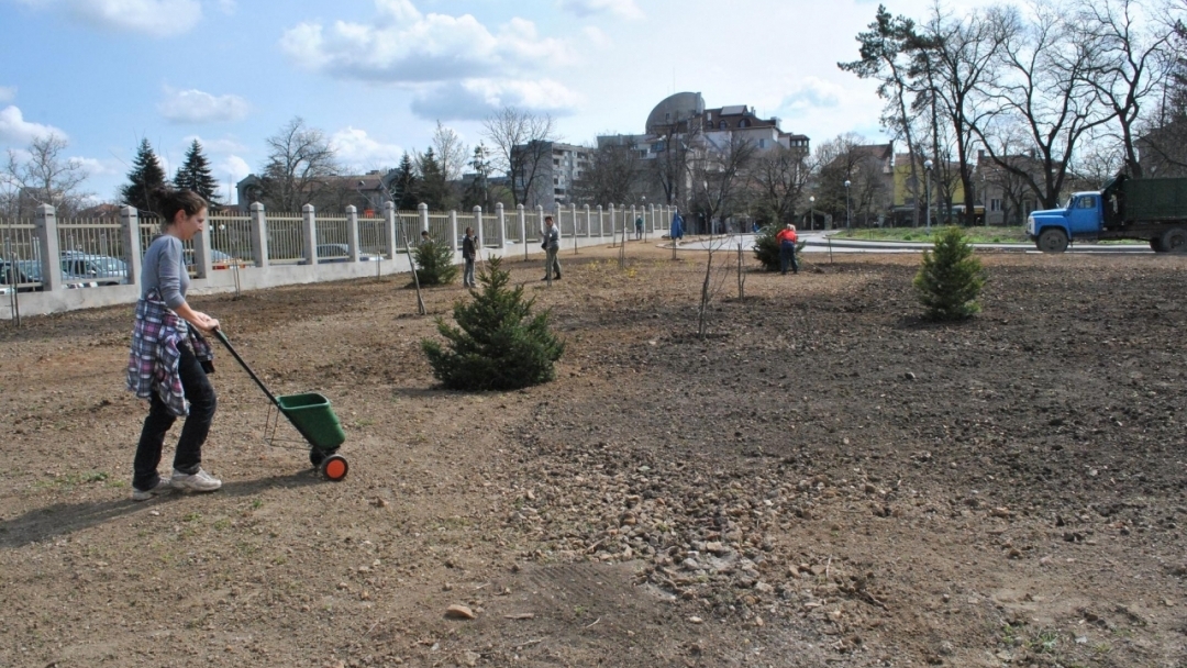 Озелениха новия паркинг в центъра на Русе