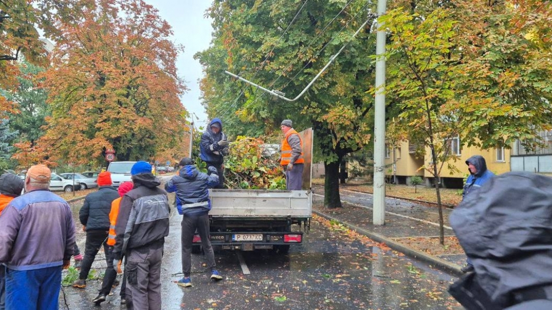 Екипи на общинските предприятия и Пожарната служба работят по сигнали за паднали дървета и аварии