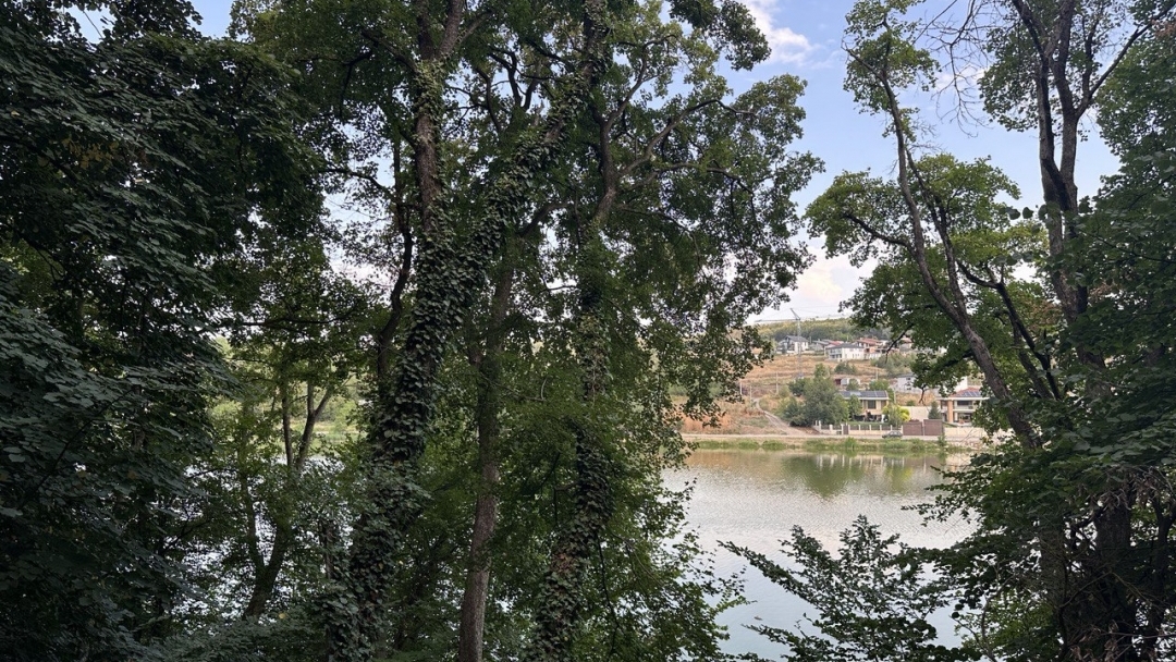 Pencho Milkov: Lipnik Forest Park is being transformed