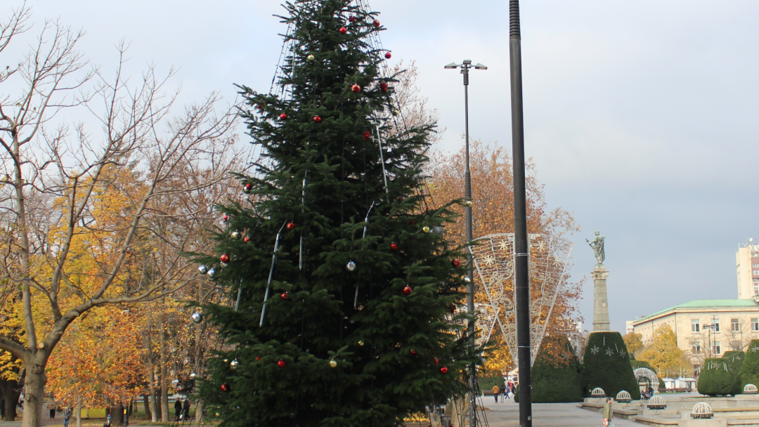 Светлините на коледната елха грейват на 1 декември