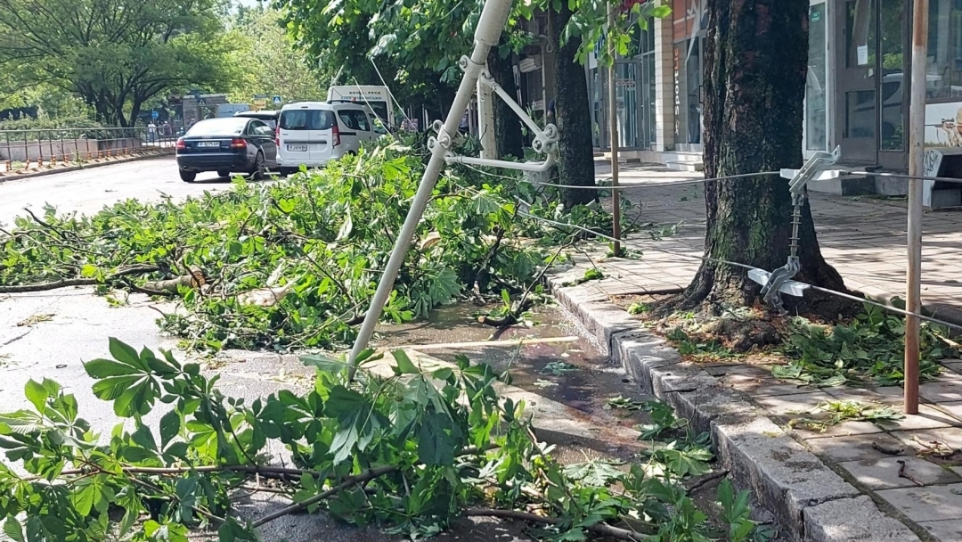 Продължава премахването на паднали от бурята дървета в целия град