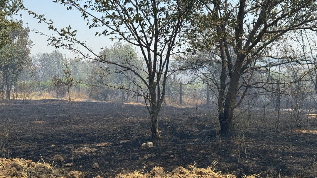 Критичната ситуация с пожара в с. Николово е овладяна, продължава гасенето в отделни участъци