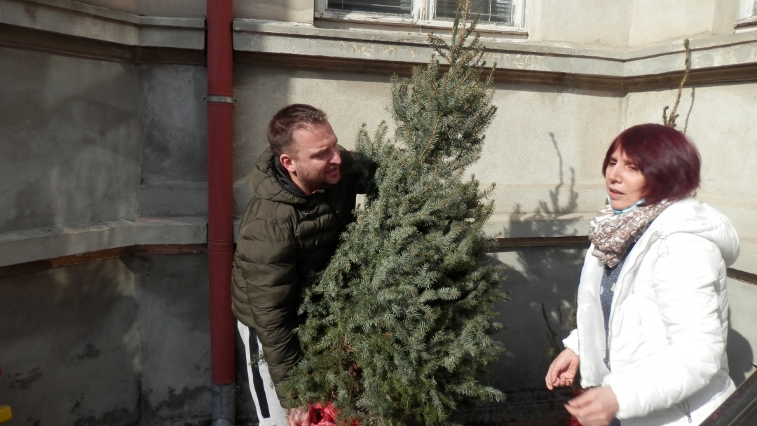 Деца от русенската детска градина “Иглика” садиха дървета в двора й