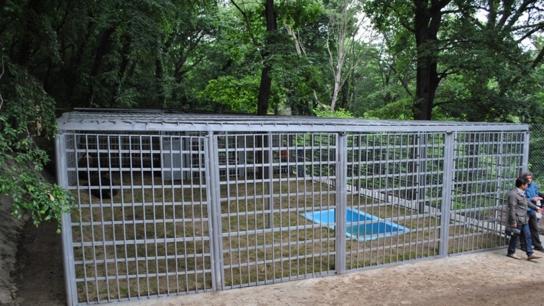 Община Русе прeдстави новия дом на мечките Бойка и Станди